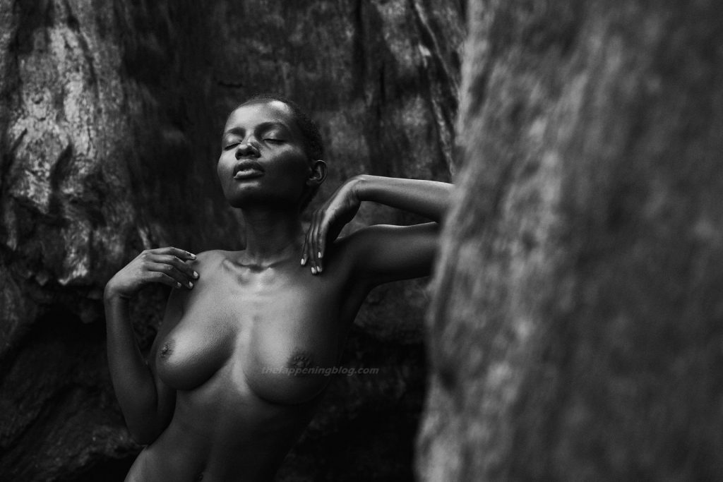 Shasta Wonder Nude (15 Photos)